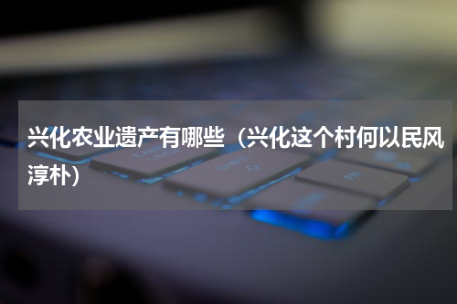 兴化农业遗产有哪些（兴化这个村何以民风淳朴）