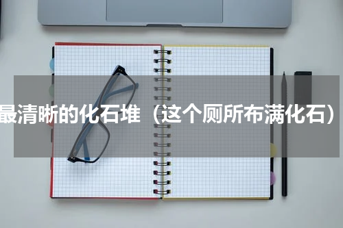 最清晰的化石堆（这个厕所布满化石）