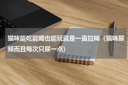 猫咪能吃能喝也能玩就是一直拉稀（猫咪尿频而且每次只尿一点）