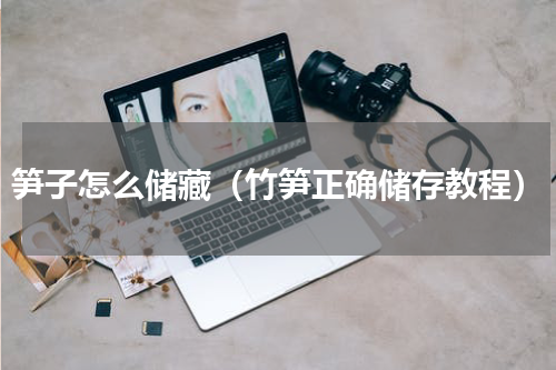 笋子怎么储藏（竹笋正确储存教程）