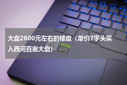 大盘2800元左右的楼盘（单价7字头买入西河百亩大盘）