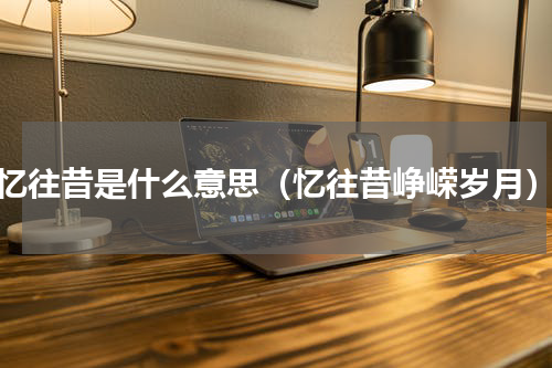 忆往昔是什么意思（忆往昔峥嵘岁月）