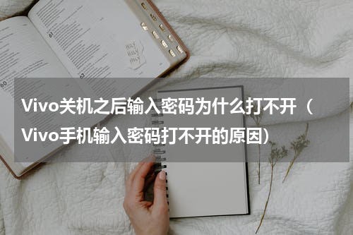Vivo关机之后输入密码为什么打不开（Vivo手机输入密码打不开的原因）