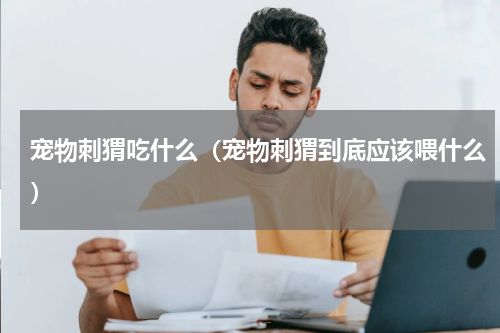 宠物刺猬吃什么（宠物刺猬到底应该喂什么）