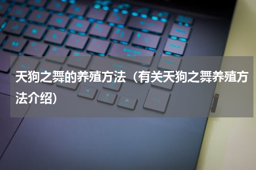 天狗之舞的养殖方法（有关天狗之舞养殖方法介绍）
