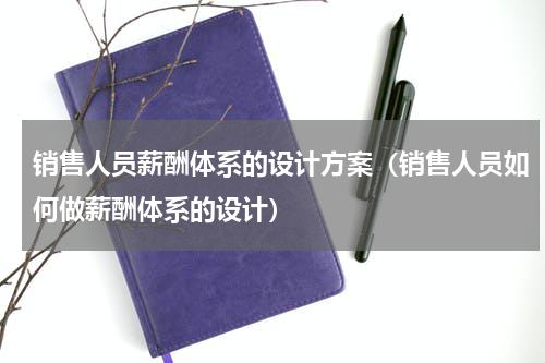 销售人员薪酬体系的设计方案（销售人员如何做薪酬体系的设计）