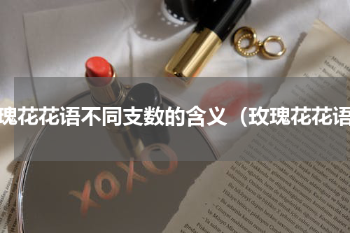 玫瑰花花语不同支数的含义（玫瑰花花语）