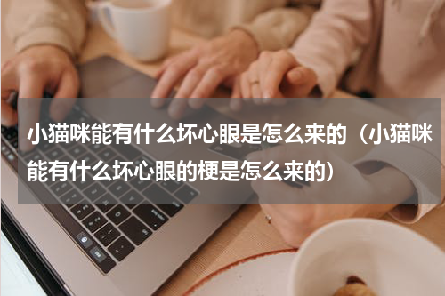 小猫咪能有什么坏心眼是怎么来的（小猫咪能有什么坏心眼的梗是怎么来的）