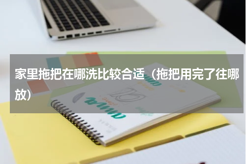 家里拖把在哪洗比较合适（拖把用完了往哪放）