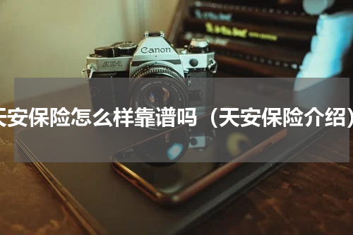 天安保险怎么样靠谱吗（天安保险介绍）