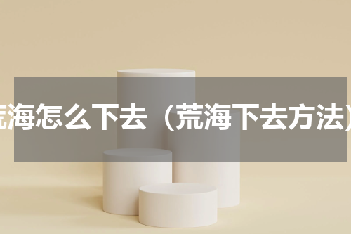 荒海怎么下去（荒海下去方法）