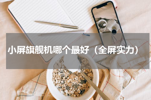 小屏旗舰机哪个最好（全屏实力）