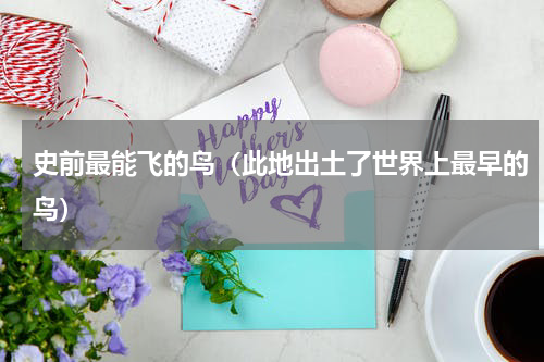 史前最能飞的鸟（此地出土了世界上最早的鸟）