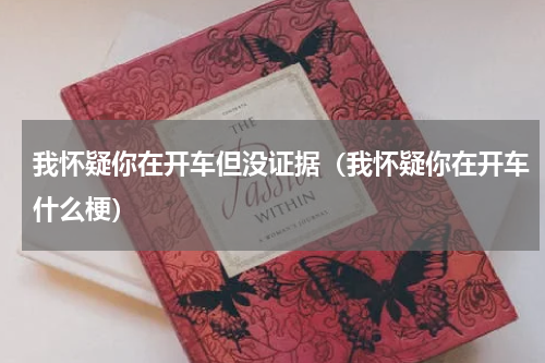 我怀疑你在开车但没证据（我怀疑你在开车什么梗）