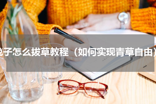 兔子怎么拔草教程（如何实现青草自由）