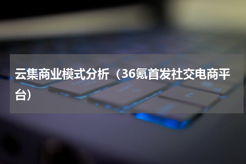 云集商业模式分析（36氪首发社交电商平台）
