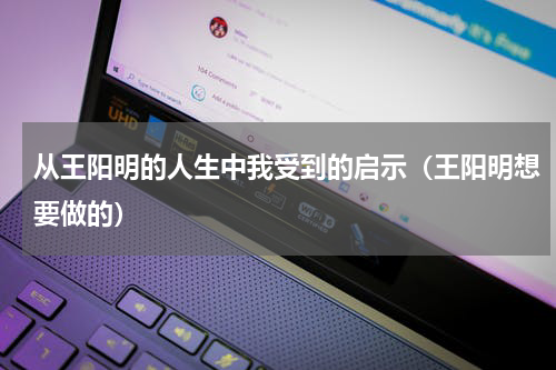 从王阳明的人生中我受到的启示（王阳明想要做的）
