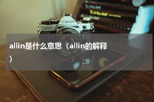 allin是什么意思（allin的解释）