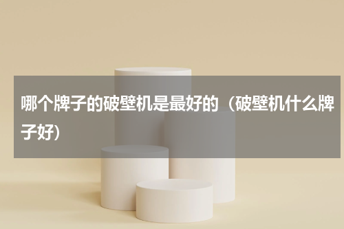 哪个牌子的破壁机是最好的（破壁机什么牌子好）