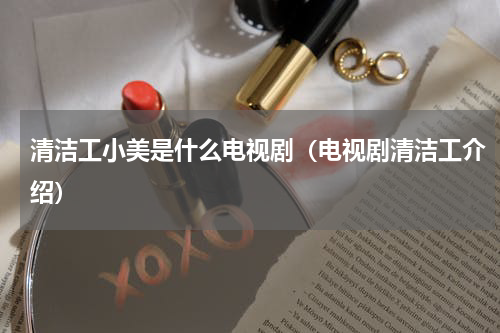 清洁工小美是什么电视剧（电视剧清洁工介绍）