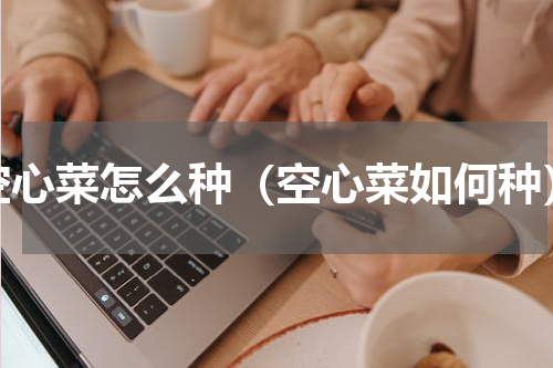 空心菜怎么种（空心菜如何种）