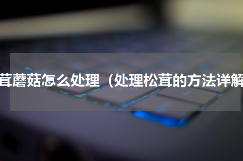 松茸蘑菇怎么处理（处理松茸的方法详解）