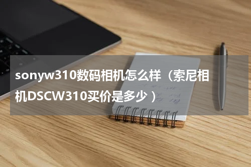 sonyw310数码相机怎么样（索尼相机DSCW310买价是多少 ）