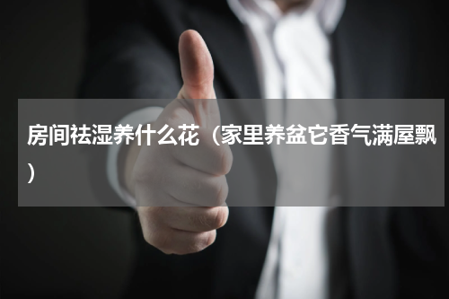 房间祛湿养什么花（家里养盆它香气满屋飘）