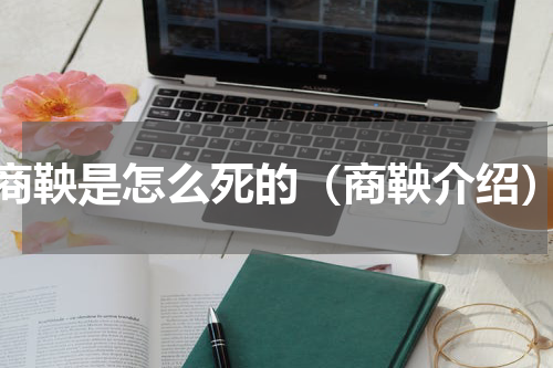 商鞅是怎么死的（商鞅介绍）