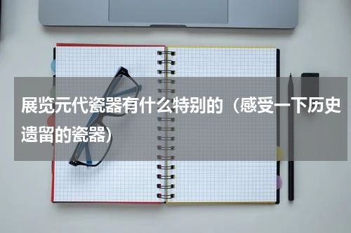 展览元代瓷器有什么特别的（感受一下历史遗留的瓷器）