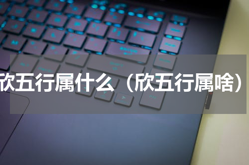 欣五行属什么（欣五行属啥）