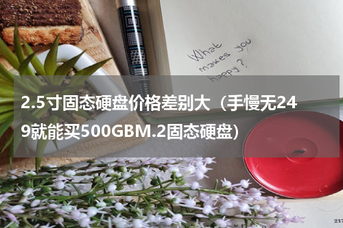 2.5寸固态硬盘价格差别大（手慢无249就能买500GBM.2固态硬盘）