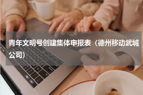 青年文明号创建集体申报表（德州移动武城公司）