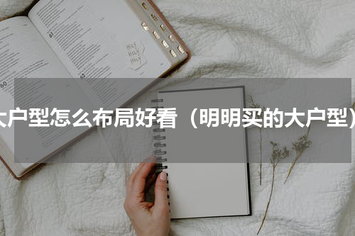 大户型怎么布局好看（明明买的大户型）