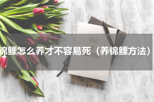 锦鲤怎么养才不容易死（养锦鲤方法）