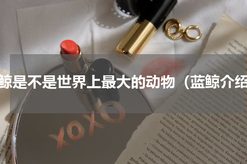 蓝鲸是不是世界上最大的动物（蓝鲸介绍）