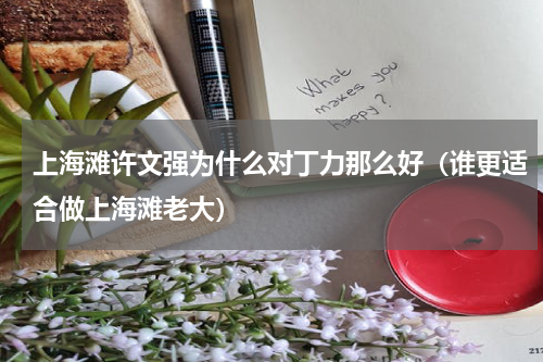 上海滩许文强为什么对丁力那么好（谁更适合做上海滩老大）