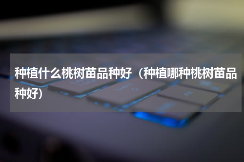 种植什么桃树苗品种好（种植哪种桃树苗品种好）