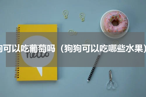 狗可以吃葡萄吗（狗狗可以吃哪些水果）