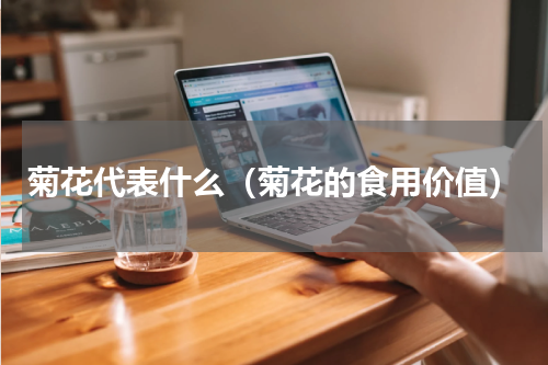 菊花代表什么（菊花的食用价值）