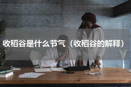 收稻谷是什么节气（收稻谷的解释）