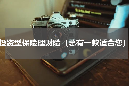 投资型保险理财险（总有一款适合您）