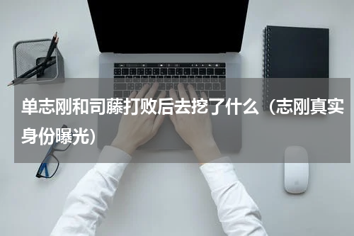 单志刚和司藤打败后去挖了什么（志刚真实身份曝光）