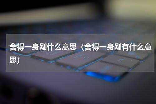 舍得一身剐什么意思（舍得一身剐有什么意思）