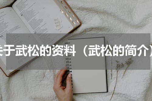 关于武松的资料（武松的简介）