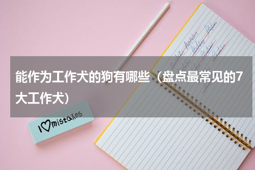 能作为工作犬的狗有哪些（盘点最常见的7大工作犬）