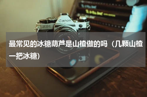 最常见的冰糖葫芦是山楂做的吗（几颗山楂一把冰糖）