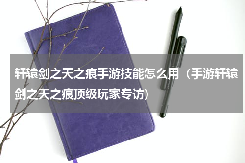 轩辕剑之天之痕手游技能怎么用（手游轩辕剑之天之痕顶级玩家专访）