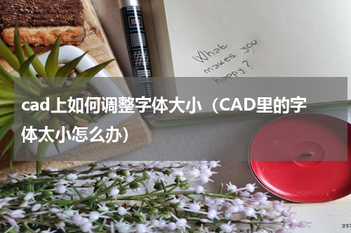 cad上如何调整字体大小（CAD里的字体太小怎么办）