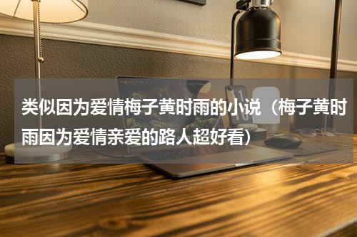 类似因为爱情梅子黄时雨的小说（梅子黄时雨因为爱情亲爱的路人超好看）